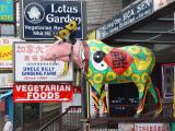 <font size=2 face=verdana, arial><b>A Chinese Canadian Moose</b><br>By KennyZ</font>