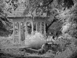 Saturday In The Park<BR>by Bernie Lofaso