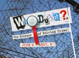 Who Dun It? by Antoine