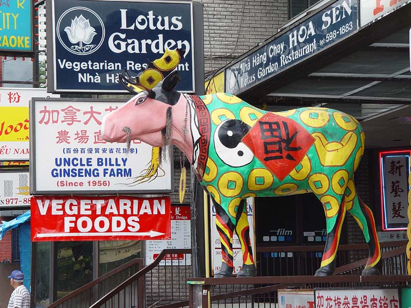 <font size=2 face=verdana, arial><b>A Chinese Canadian Moose</b><br>By KennyZ</font>