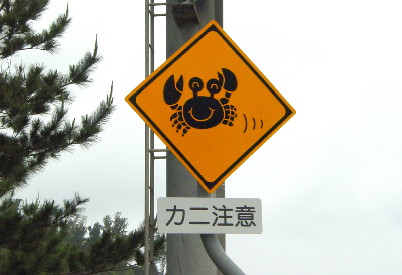 10th<br><p align=center> <b> Be Careful of Crabs </b> <br> <font size=1> by Helen Betts </font> </p>