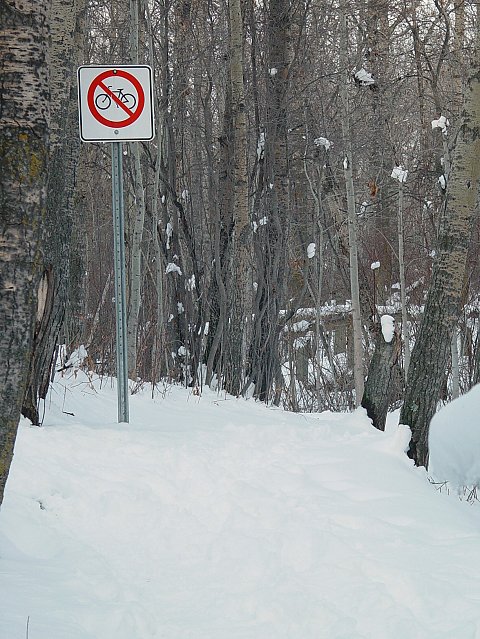 10th<br>No Cycling!