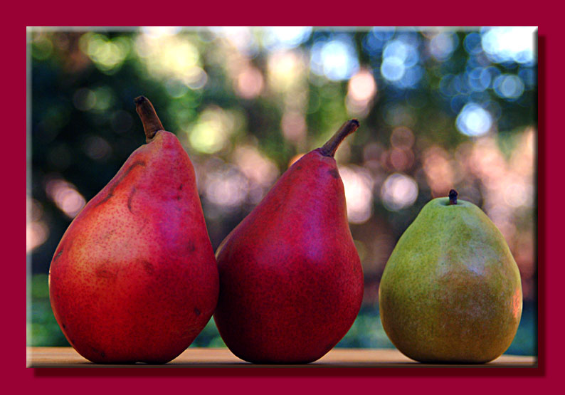 <b>Three Pears</b><br><font size=1><i>by</i><Font size=2>  Faye White