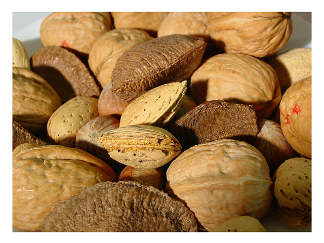 Mixed Nuts by florg