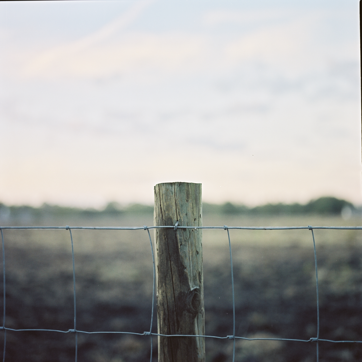 fence post / color