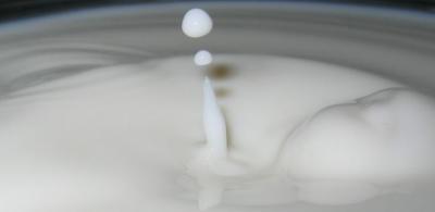 milk.JPG