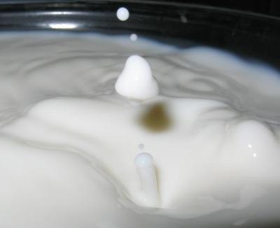 milk4.JPG