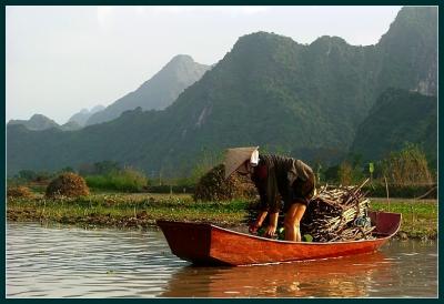 Wood transport