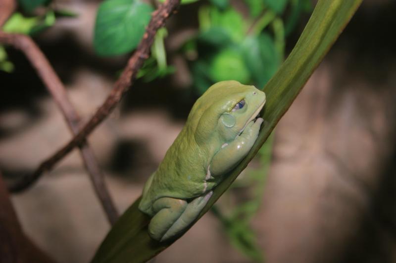 little guy 2.JPG