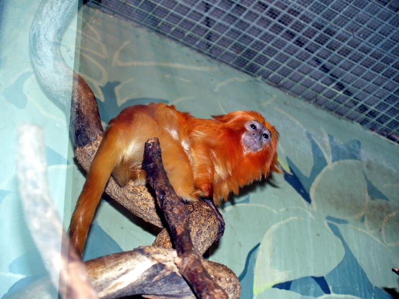 image0016_edited-1.jpg