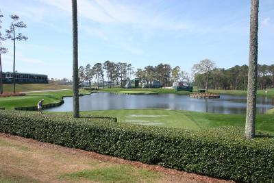 sawgrass