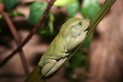 little guy 3.JPG