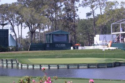 sawgrass 17th 2JPG.jpg