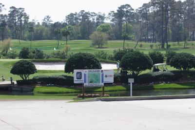 sawgrass.jpg