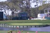 sawgrass 17th 2JPG.jpg