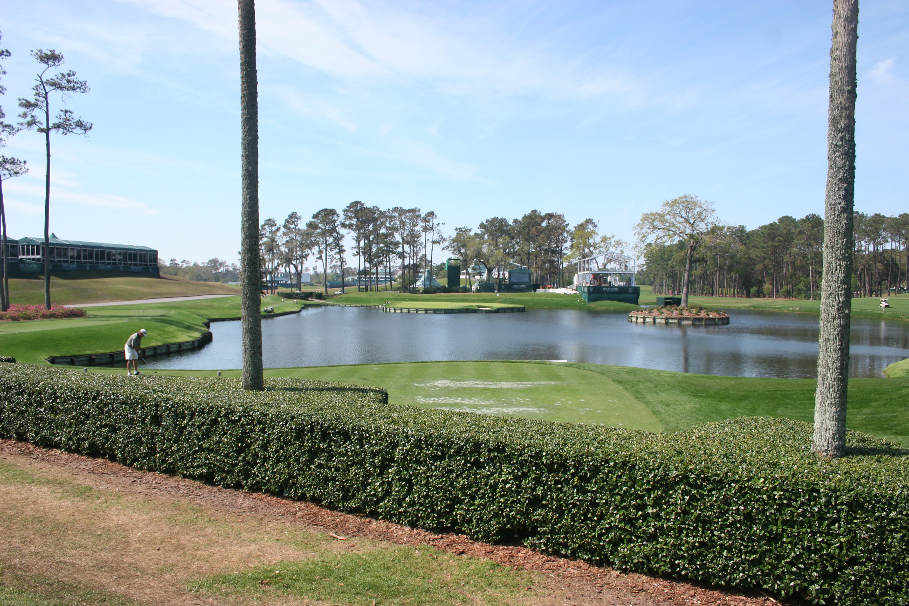 sawgrass