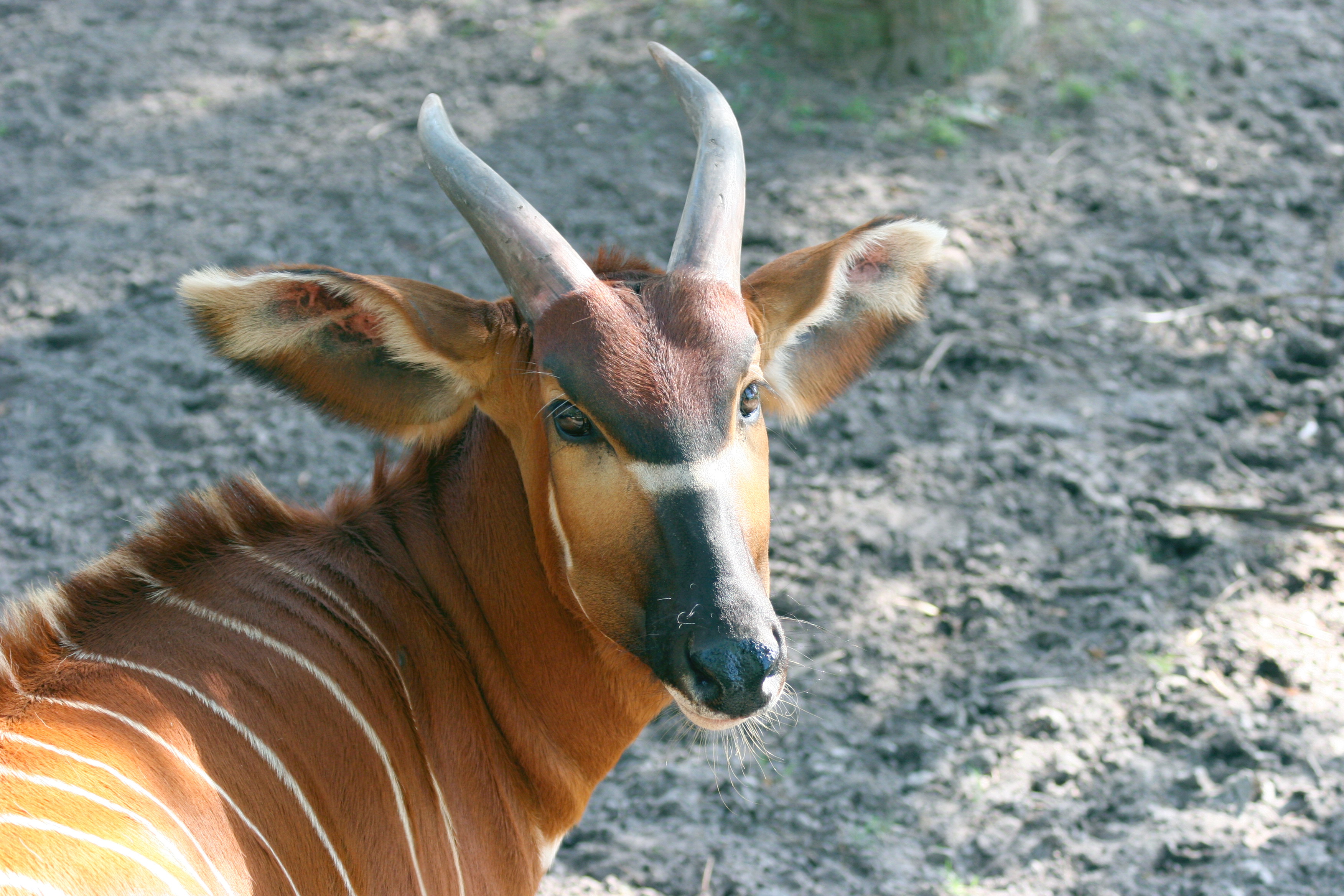 zoo1.jpg
