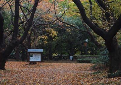 Jingu Gaien Mae & Yotsuya Areas