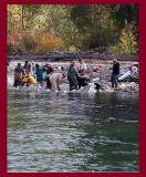 Fish Tagging