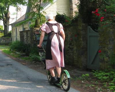 Amish Scooter