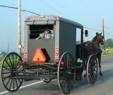 Amish Buggy Intercourse