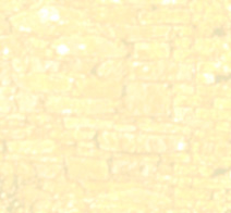 tnworkhousewall.jpg