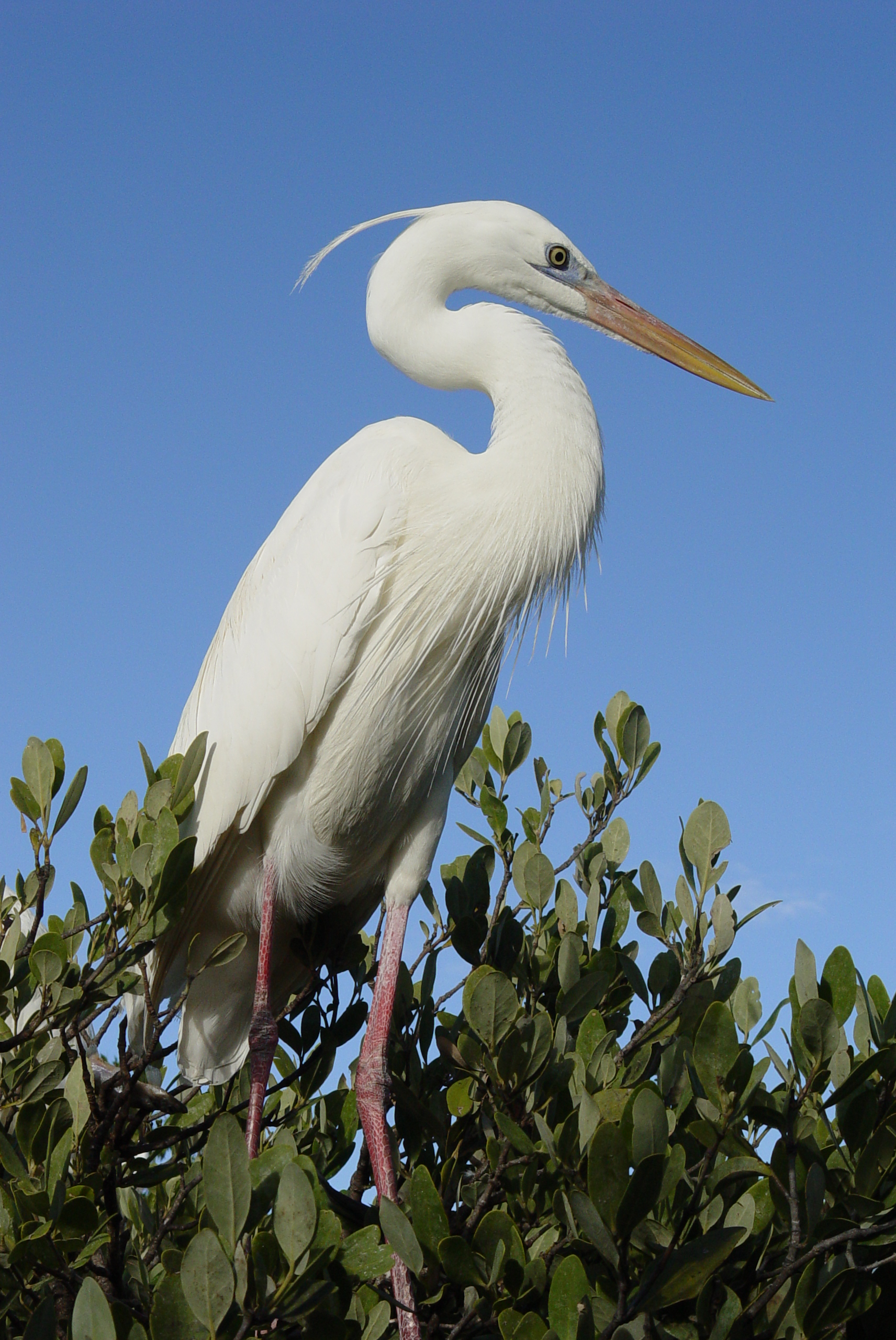 Key Largo