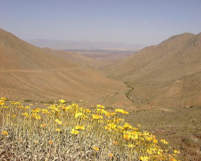 Nine Mile Canyon
