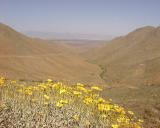 Nine Mile Canyon