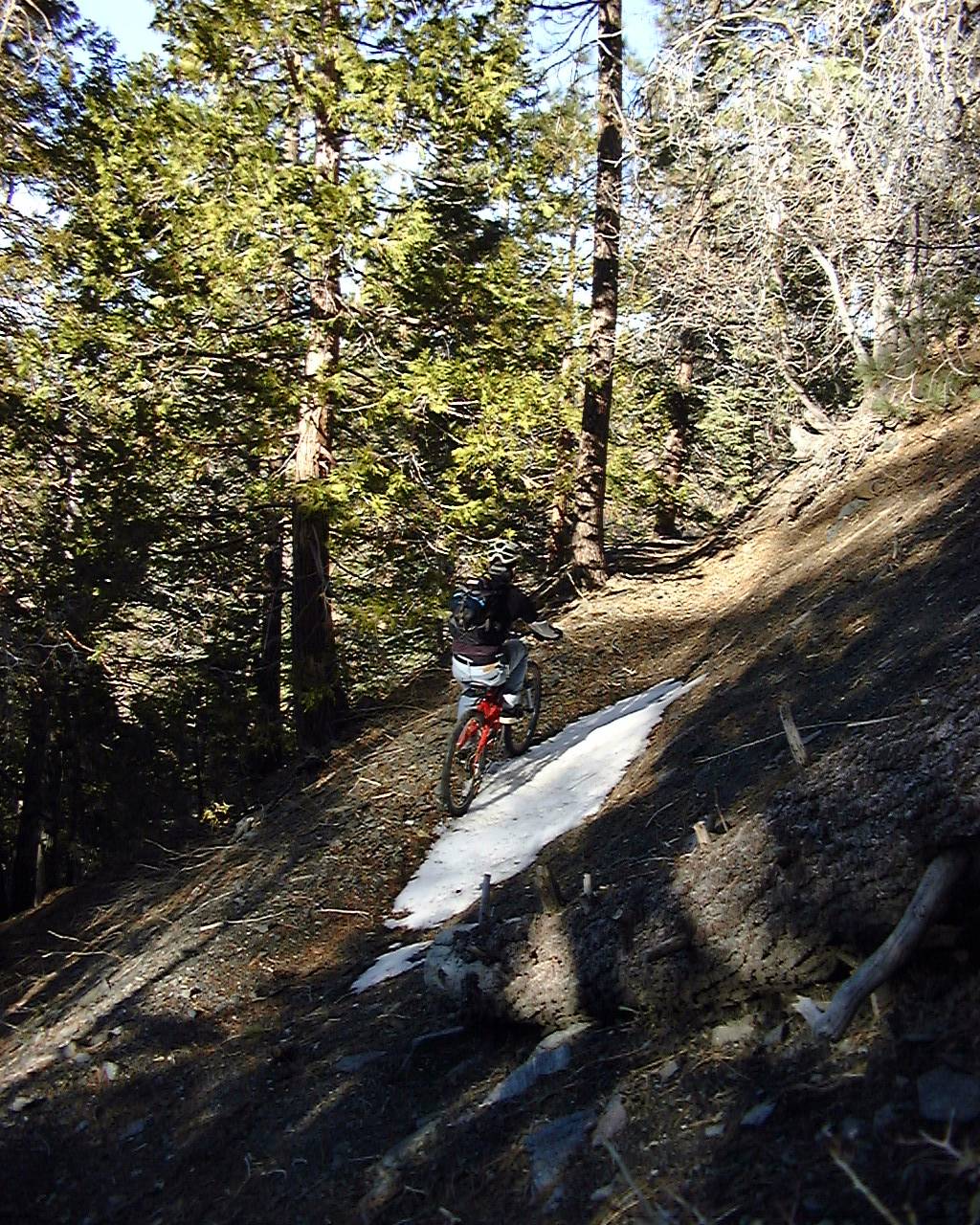 On the Jackson Lake Trail