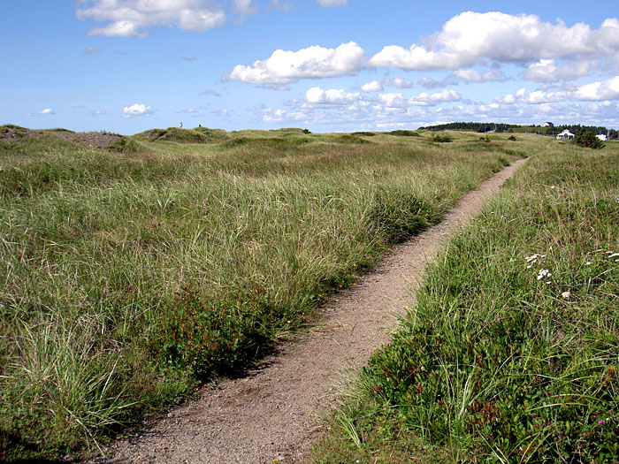 Lawrencetown Abandoned Railroad Trail.