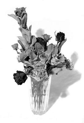 dead_flowers.jpg