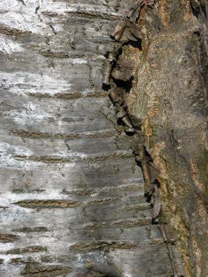DSCN2661.JPG