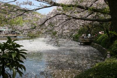 Genji Pond Kamakura