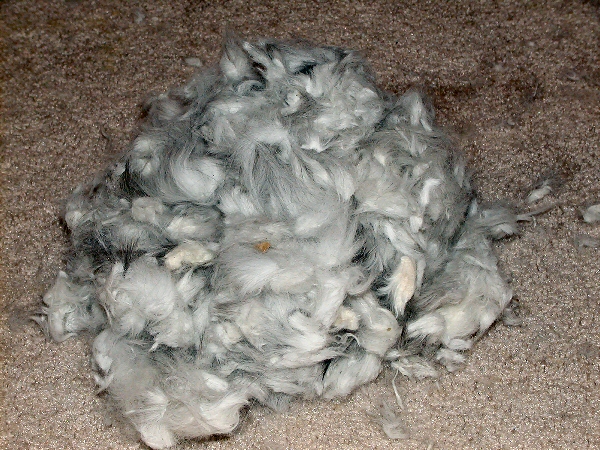 All That Hair