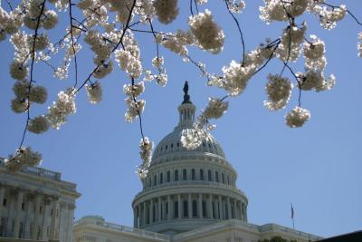 US Capitol