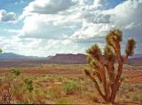 Monument Valley