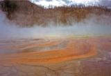 Yellowstone