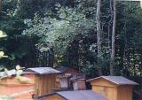 Beehives on the same hill, but farther up - thus, ends our field trip to this small hilltop cemetery.