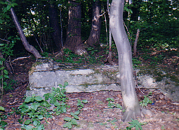 Bukowsko Jewish Cemetery - 2002