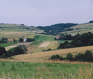 View of Bukowsko from  cemetery hill