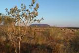 Ayers Rock , Uluru , Northern Territory , Australia