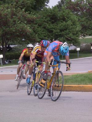 Cat 3 32.jpg