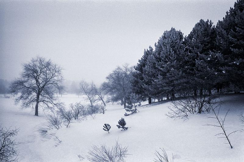 Oswego1.jpg
