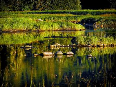 Green Reflections