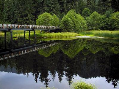 Country Bridge