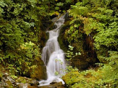 Roadside Falls #1