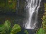 P1020515cc.jpg