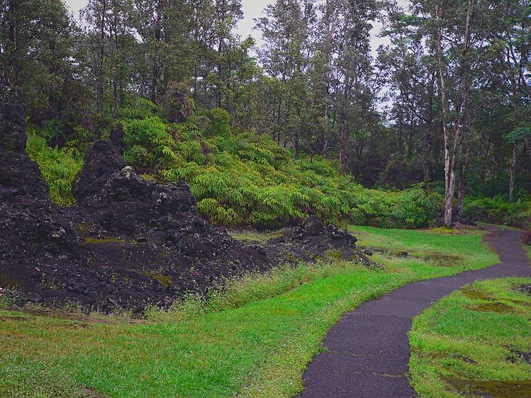 Lava Tree State Park #2