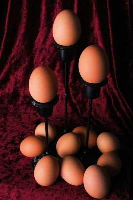 Jan 14: Theatre of eggs